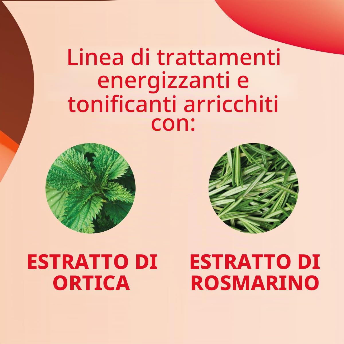 fanola-vitamins-lozione-energizzante-fortificante-150-ml image 3