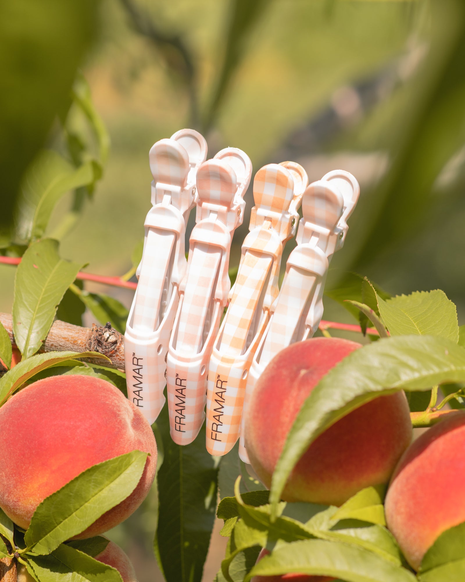 framar-peach-please-bundle-set-completo-colorazione-con-foil-spazzole-e-ciotole- image 5
