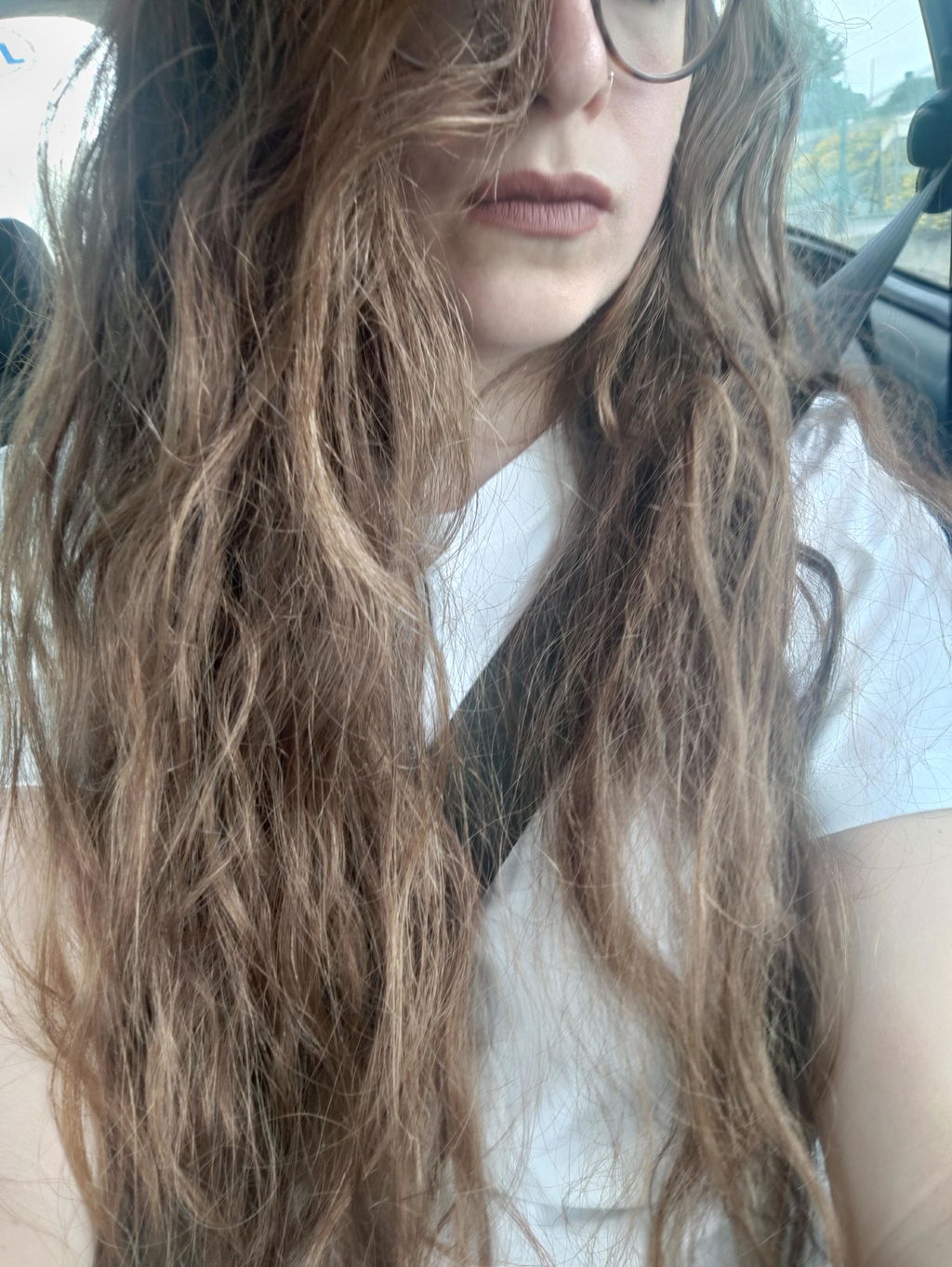 Capelli finalmente domati