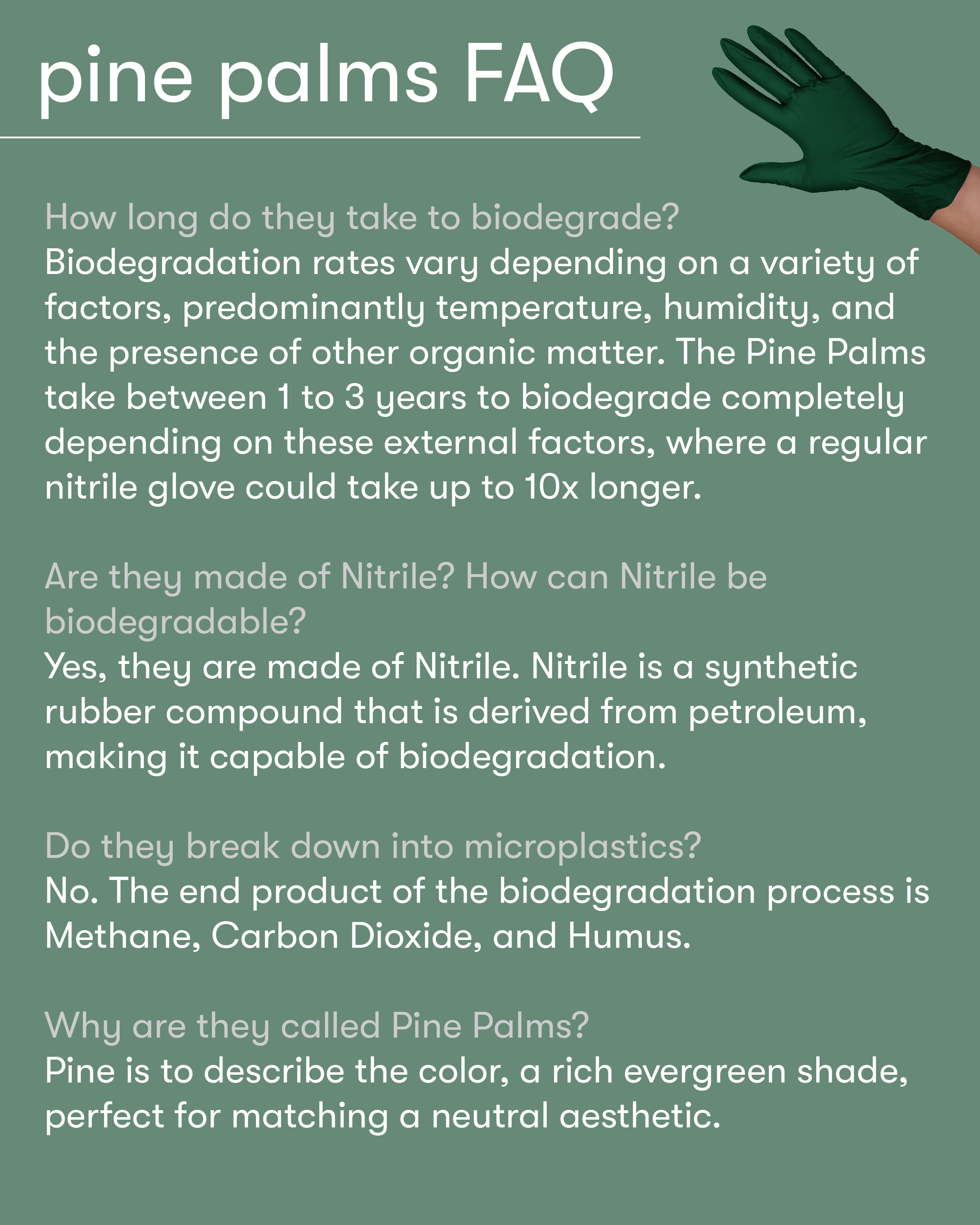 framar-pine-palms-guanti-nitrile-biodegradabili-verdi-100-pezzi image 6