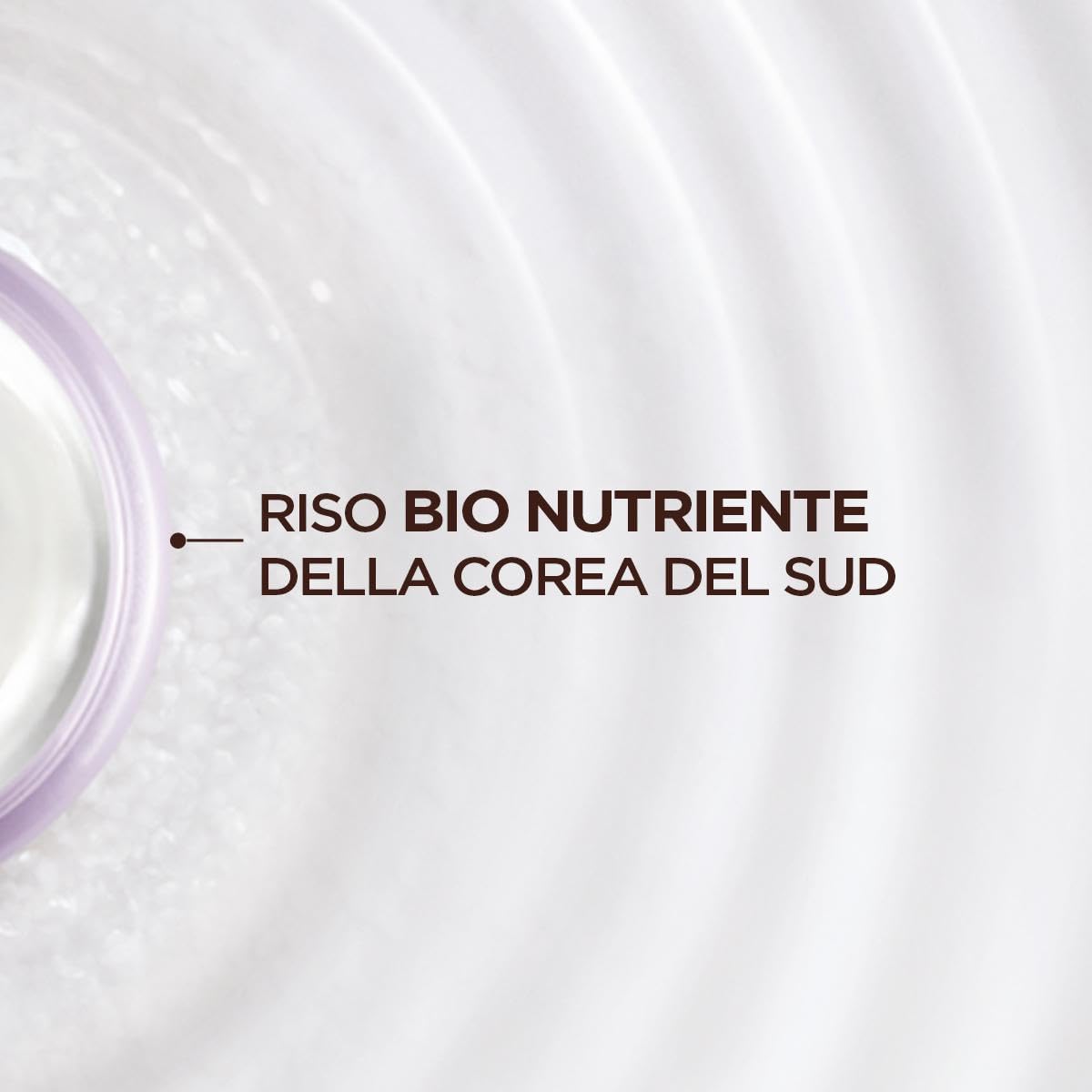garnier-ultra-dolce-acqua-di-riso-amido-skinactive-routine-completa-kit image 4