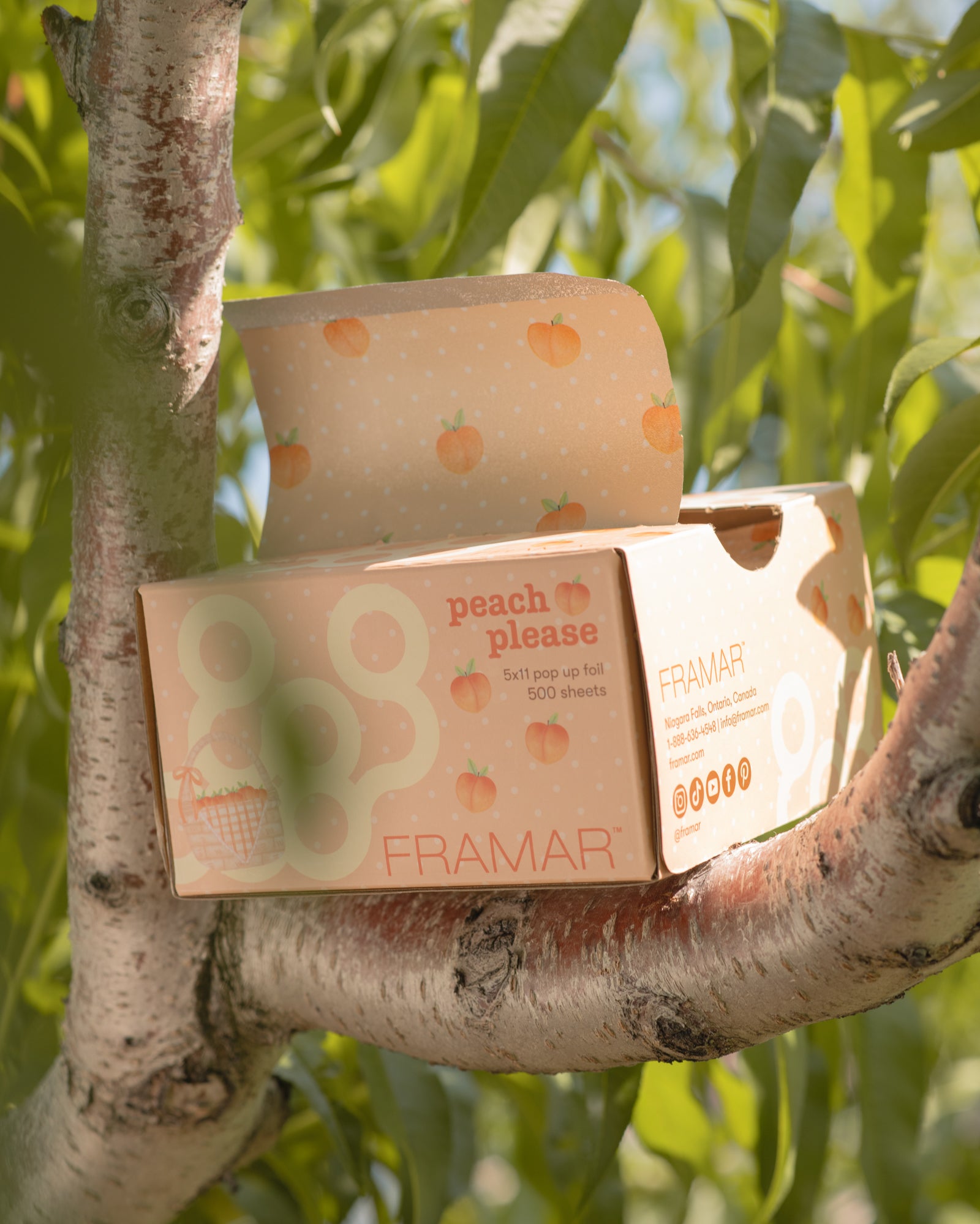 framar-peach-please-pop-up-fogli-alluminio-pre-tagliati-5x11-500-pezzi image 4