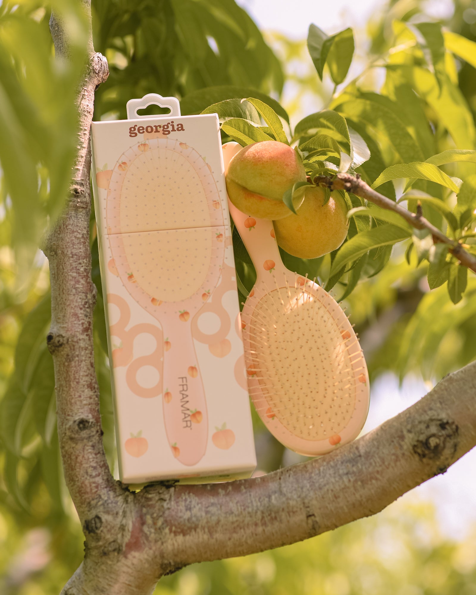 framar-peach-please-georgia-detangle-brush-spazzola-districante image 5
