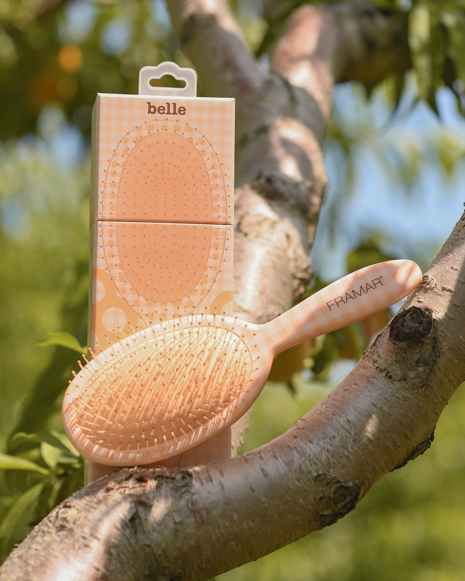 framar-peach-please-belle-detangle-brush-spazzola-districante-gingham-pesca image 5